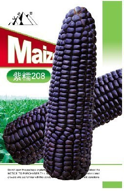 黑粘玉米種子 高產早熟，鮮食香甜粘的理想選擇
